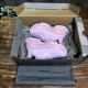 Balenciaga Triple S Sneaker Reps Logotype “Pink White Material”