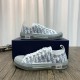 DIOR B23 Low Top Logo Oblique Grey Sneakers