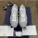 DIOR B23 Low Top Logo Oblique Grey Sneakers