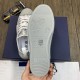 DIOR B23 Low Top Logo Oblique Grey Sneakers