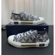 DIOR B23 Low Top Grey Sneakers 2022