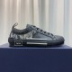 DIOR B23 Low Oblique Black Sneakers