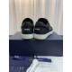 Dior B27 Low Top Oblique Sneakers | Black