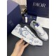 DIOR B27 Low Top Sneaker | CD Blue Paisley