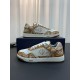 DIOR B27 Low Top Sneaker | Brown Paisley